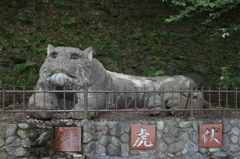伏虎
