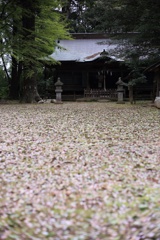 敷き詰める