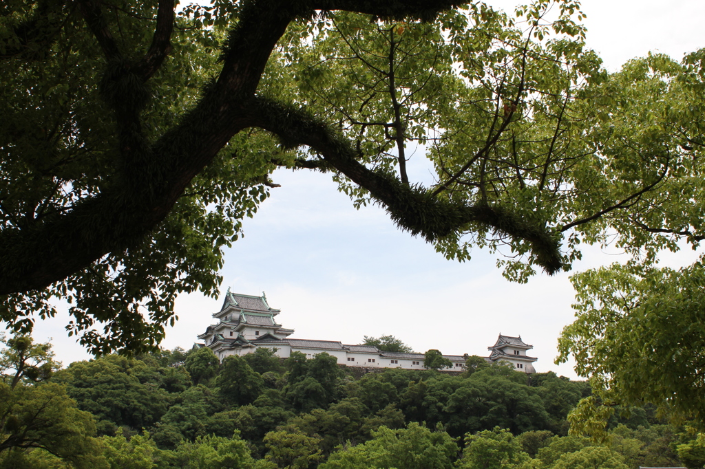 和歌山城02