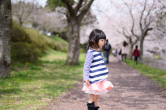 桜の木の下で