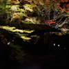 円通院・松島紅葉ライトアップ1