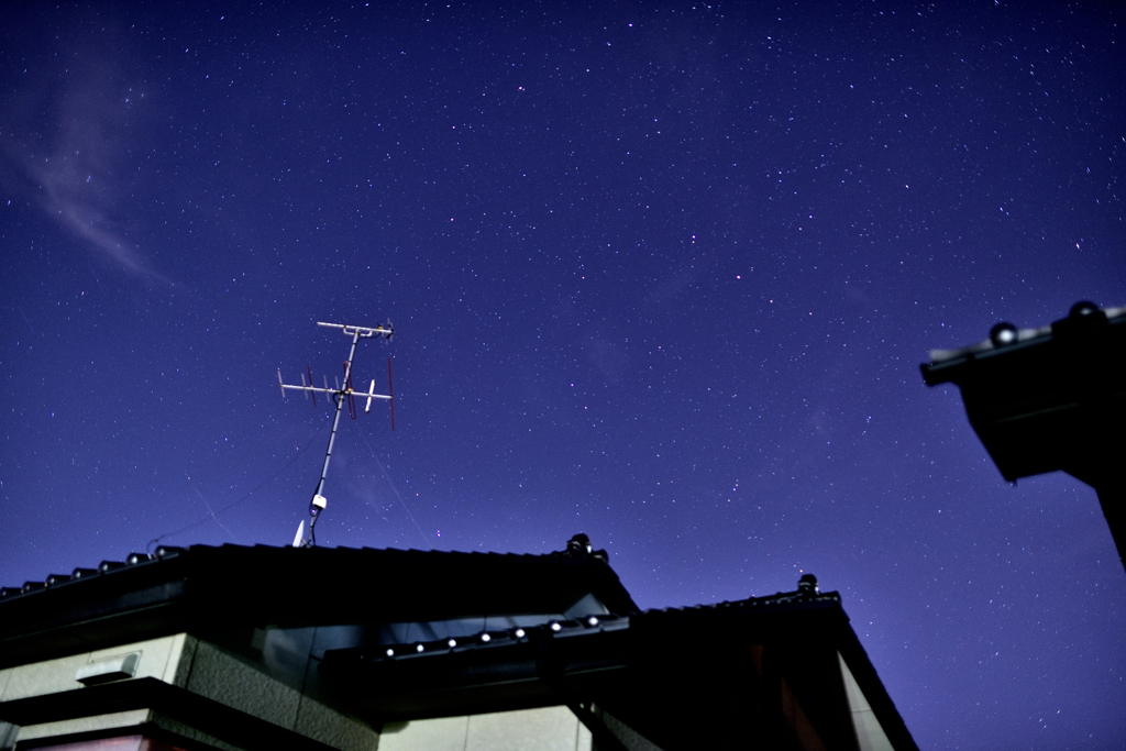 庭からの星空