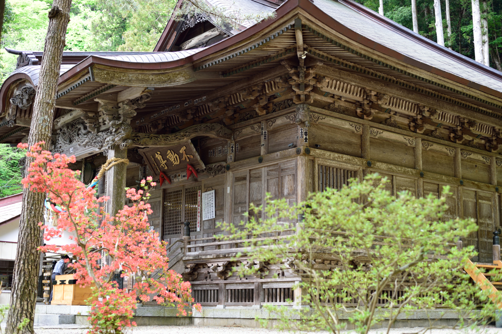 春のお寺③