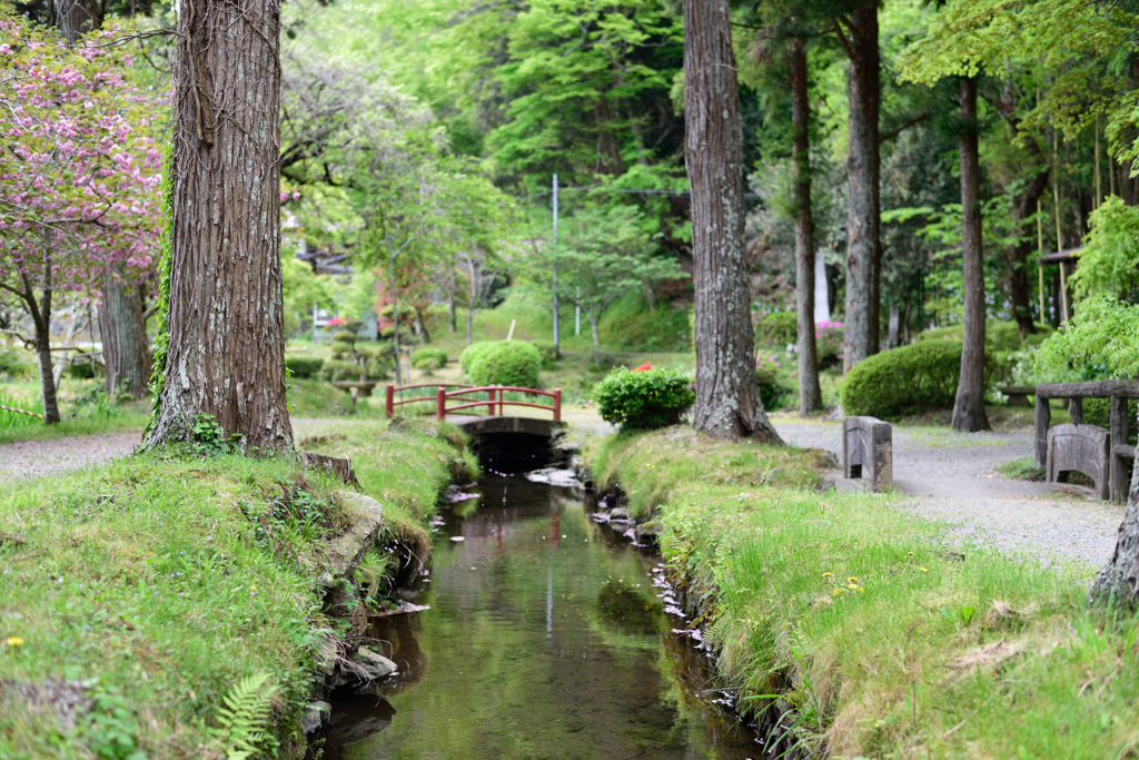 境内の小川②