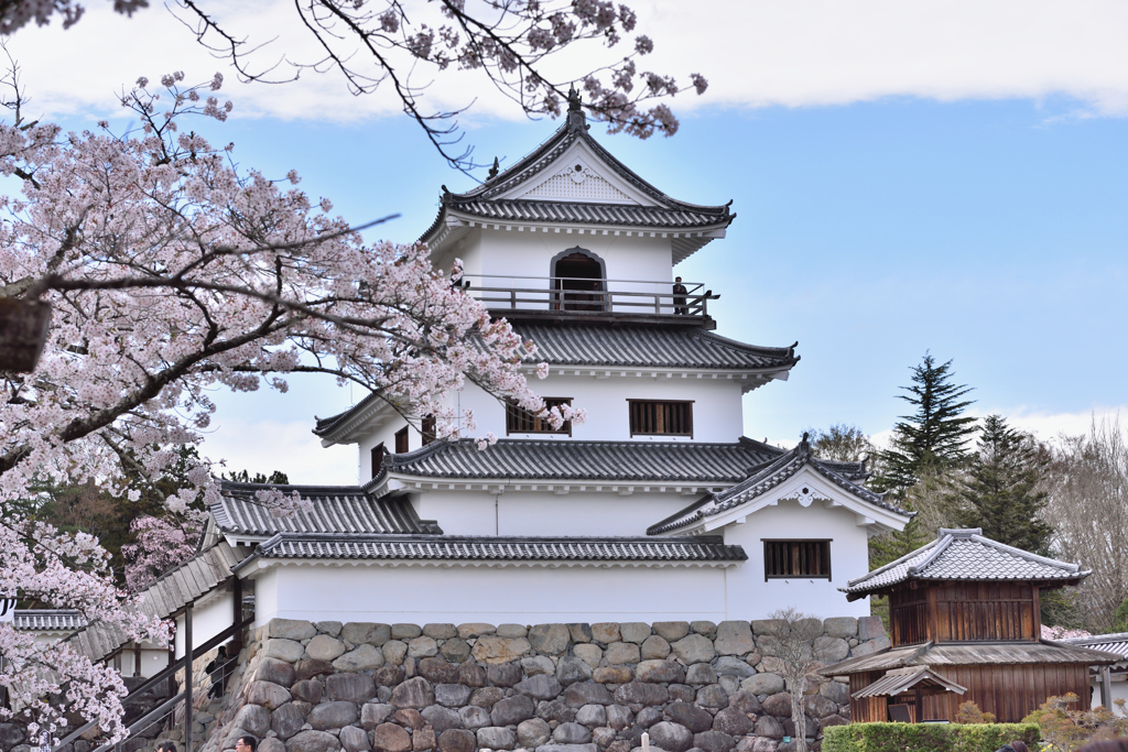 白石城と桜