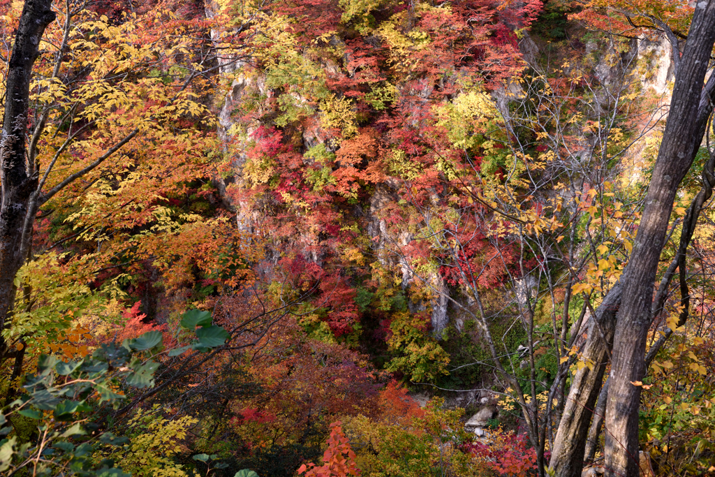 鳴子の紅葉