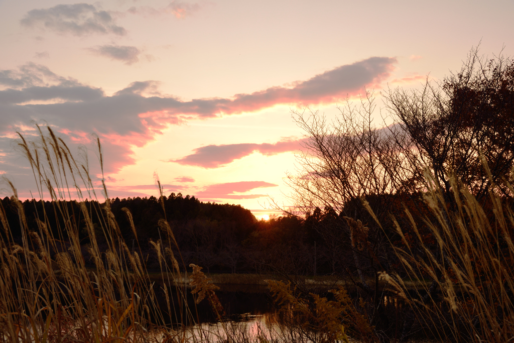 夕日