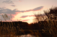 夕日