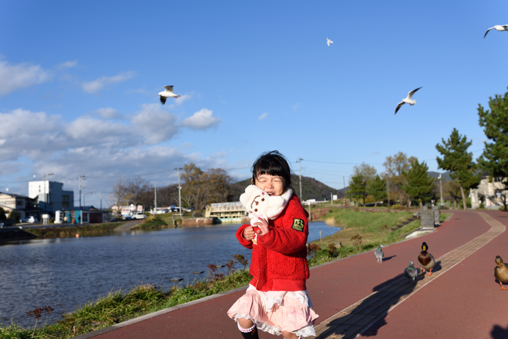 鳥さんと追いかけっこ