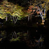 円通院・松島紅葉ライトアップ３