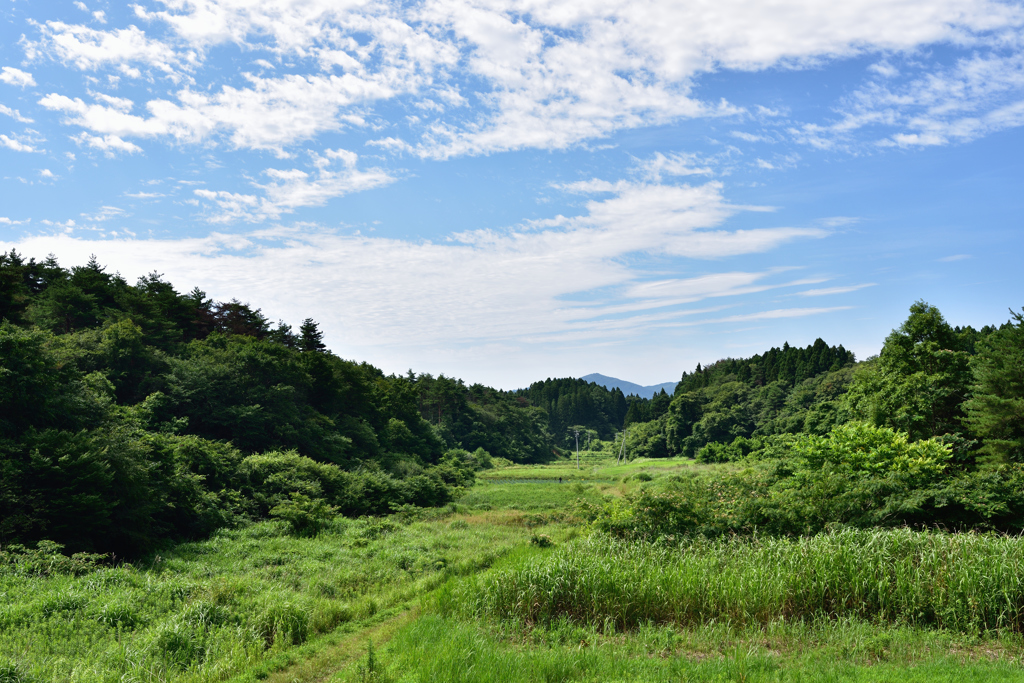 田舎暮らし