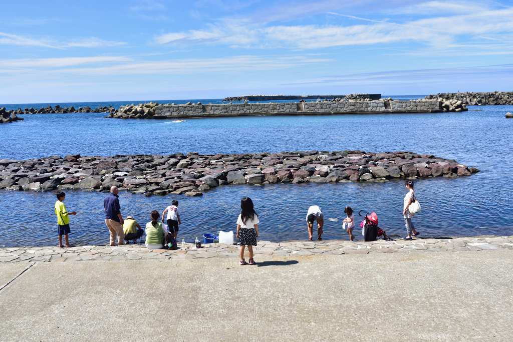 海に来た！