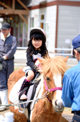 楽しい乗馬