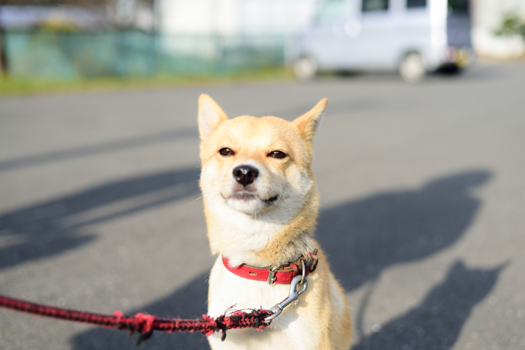 笑顔