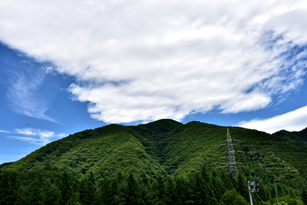白・青・緑