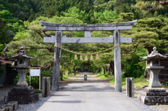 春のお寺①