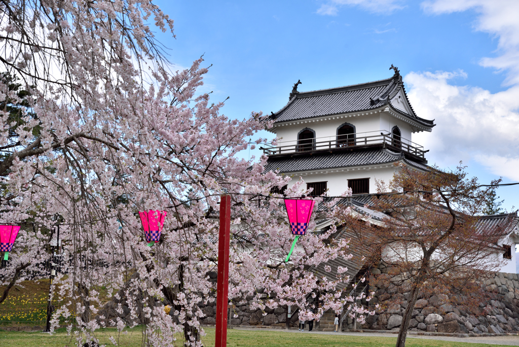 白石城と桜