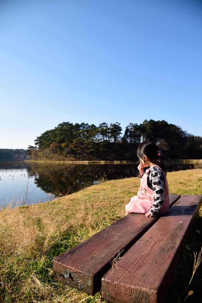 沼のほとりで