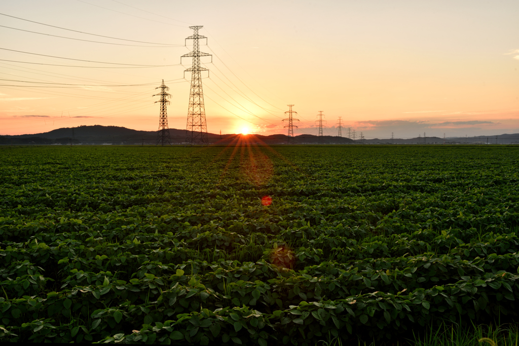田舎夕景