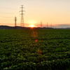 田舎夕景