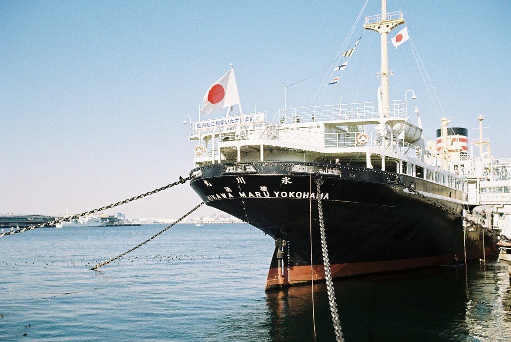 水辺伝いに散歩