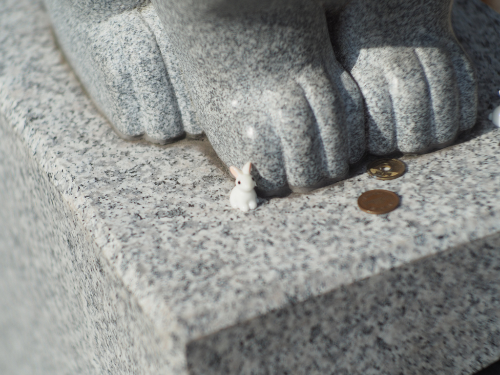 ちっこいの
