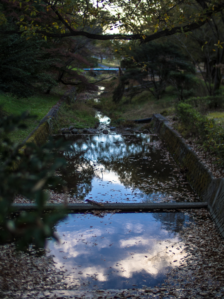 川面