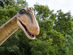 ウスワライサウルス
