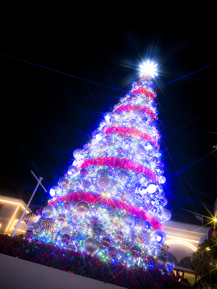 Merry Christmas　L.G.
