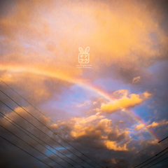 夕方 東