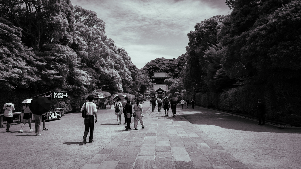 鶴岡八幡宮