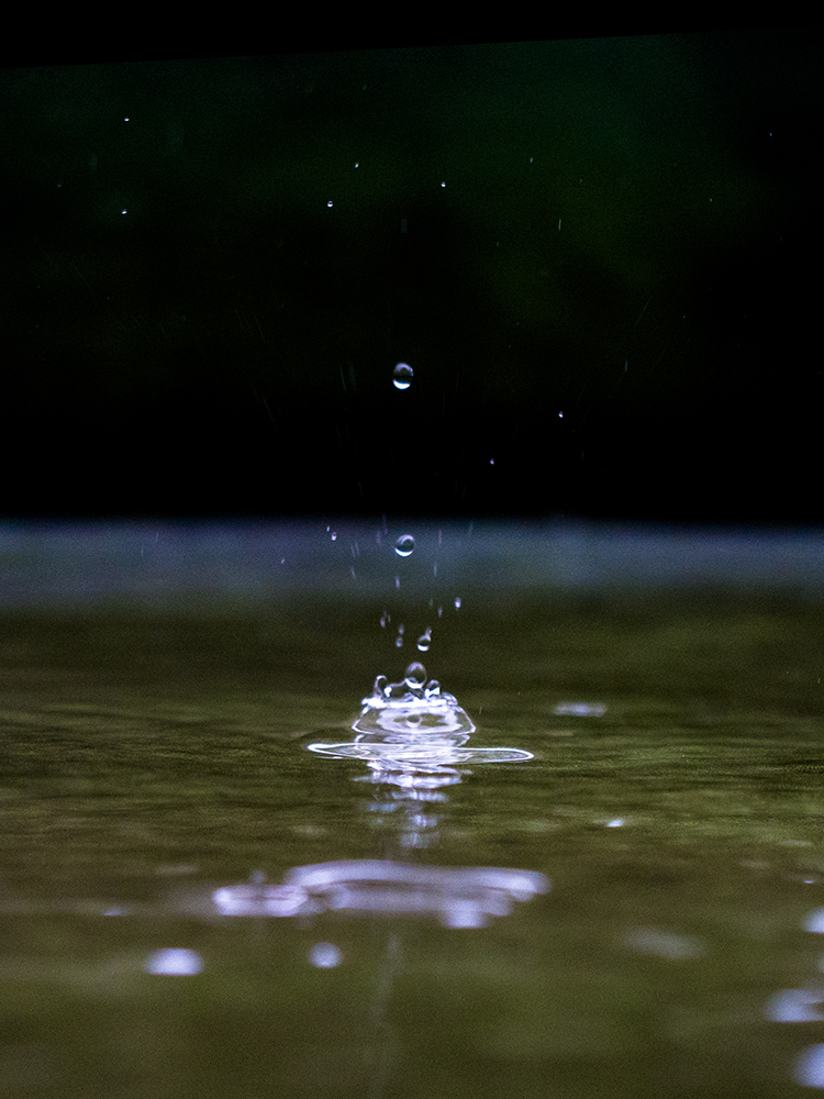 雨クラウン