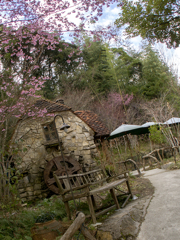 水車のある光景