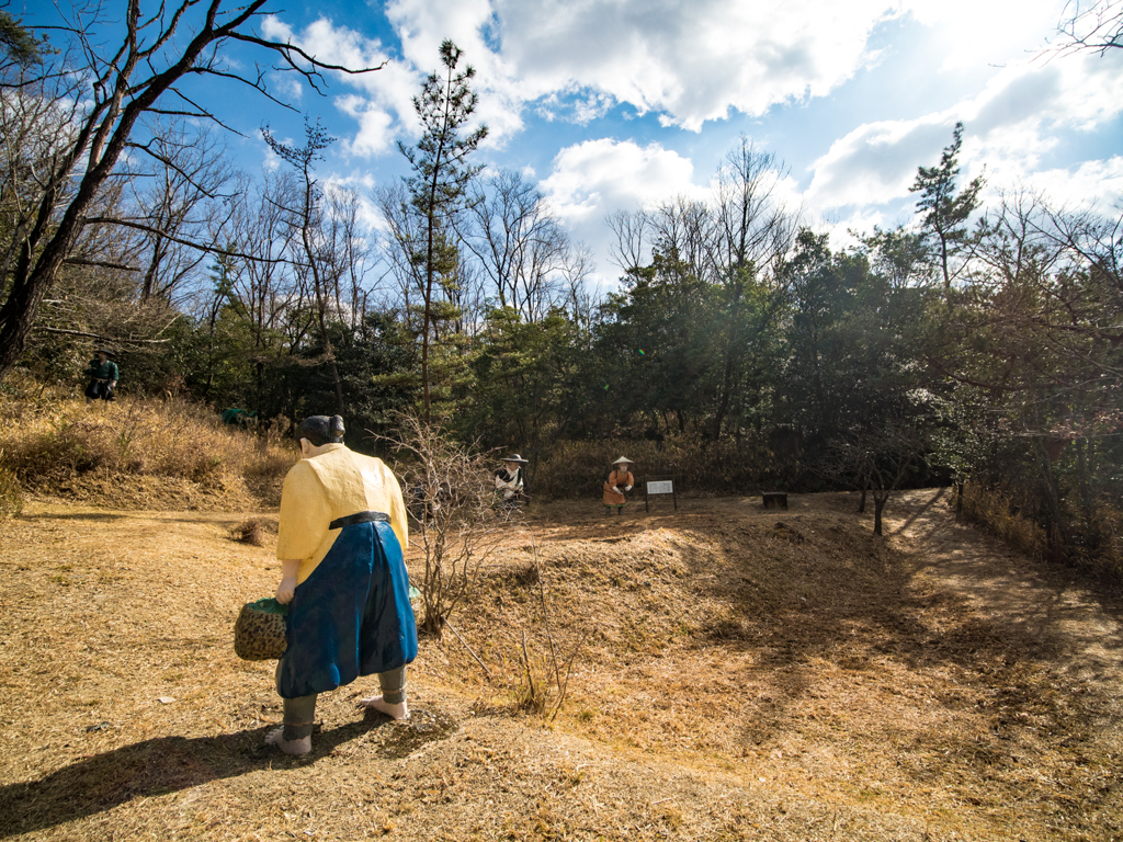 お田植