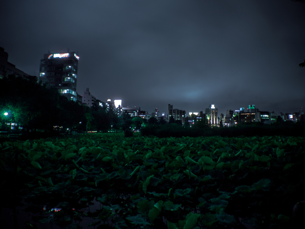 上野不忍池　-深夜-