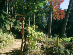 山中鳥居