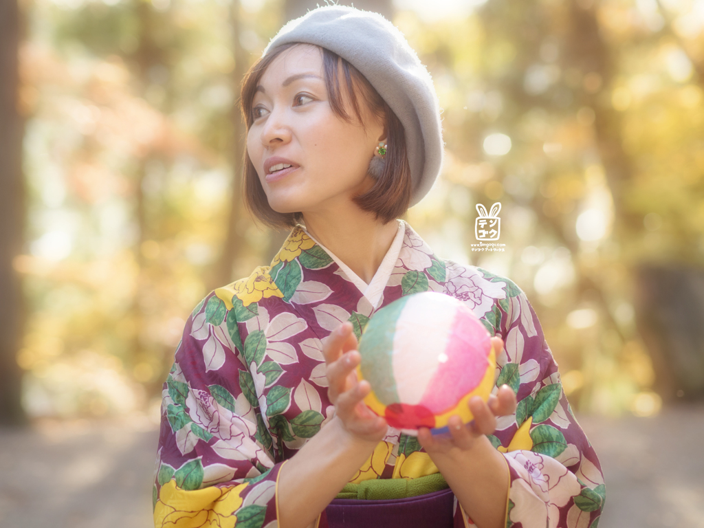 普段着の着物 葉光
