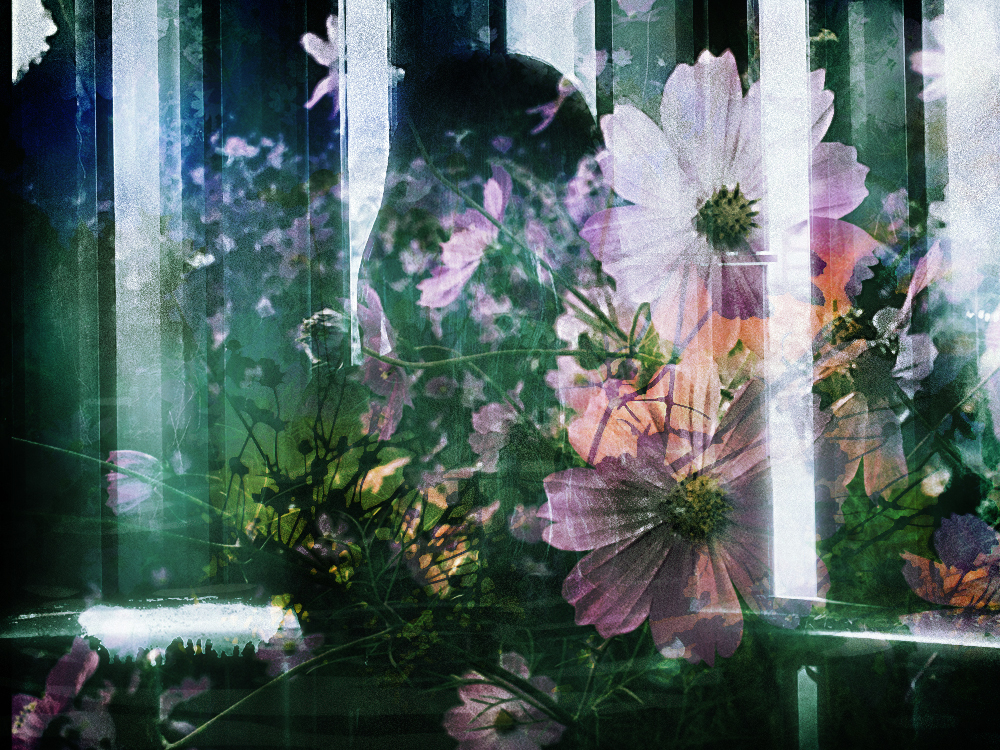 COSMOS