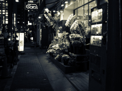 銀座の花屋