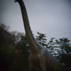 クビナガサウルス