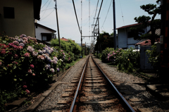 江ノ電 線路