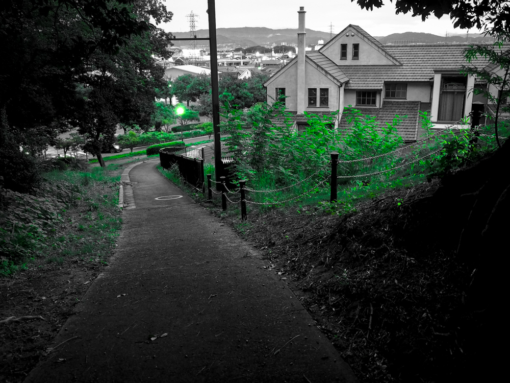 Green。