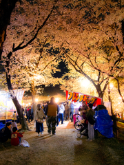 桜のお祭りの賑わい3