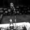 水ピュー