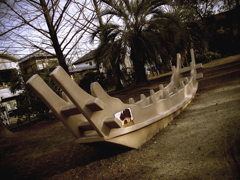 Noah'sArk