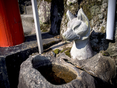 ガン見される系。