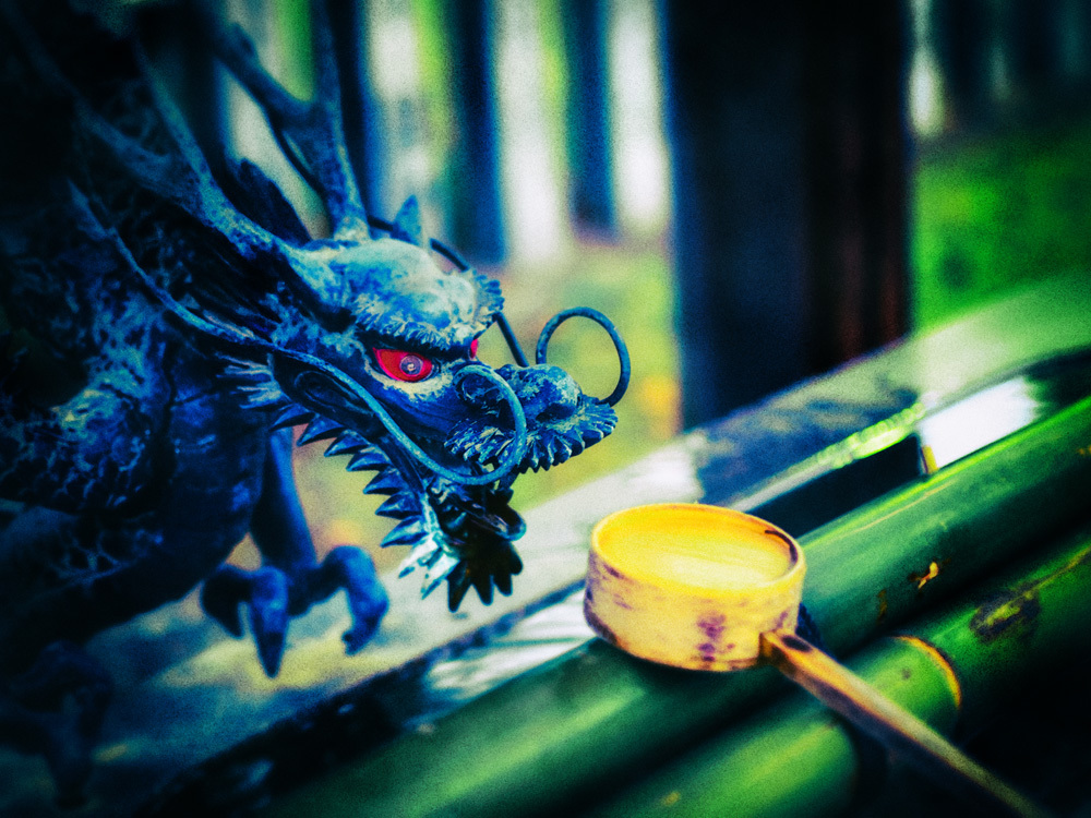 チョーズ・ドラゴン