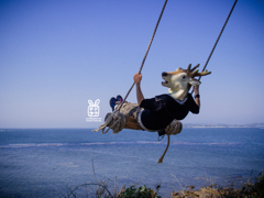 こっち見てるし。