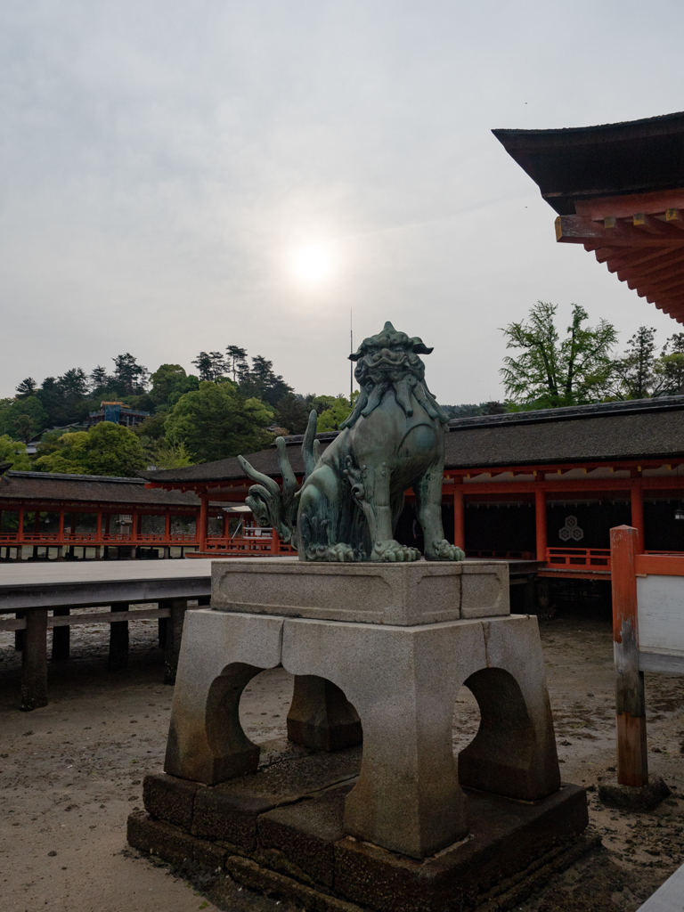 厳島神社 狛犬