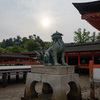 厳島神社 狛犬